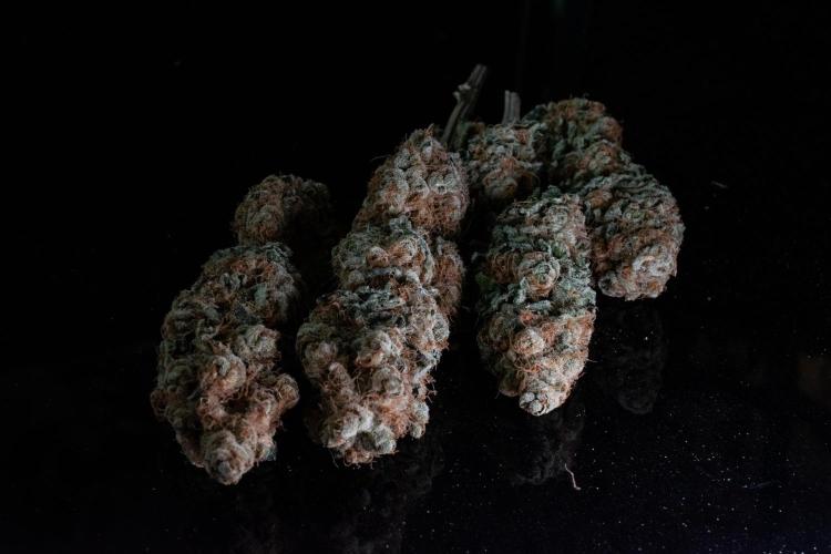 Oreoz 🇺🇸. Week 15