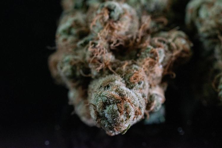 Oreoz 🇺🇸. Week 15