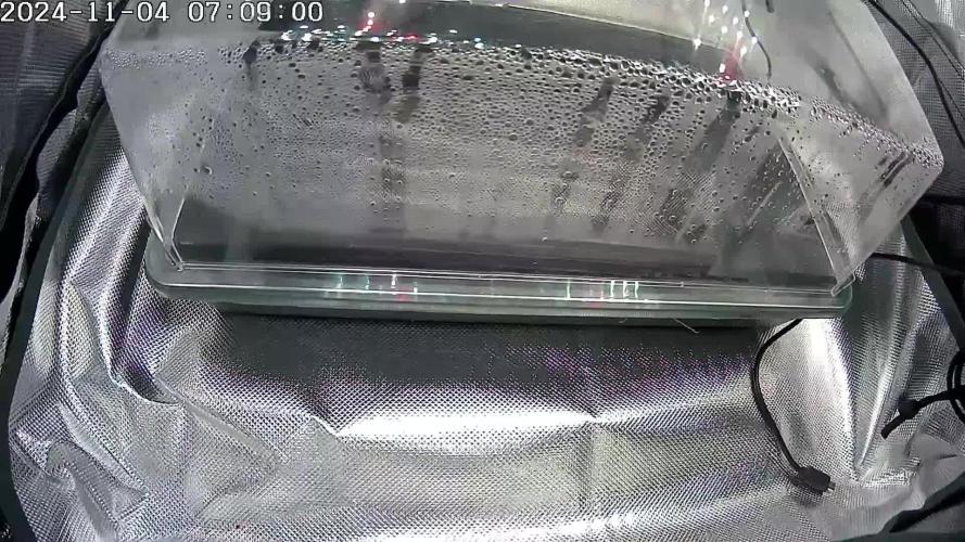 🌿  Triple Trouble: BioBizz, Green House Feeding & Advanced Nutrients in a duel