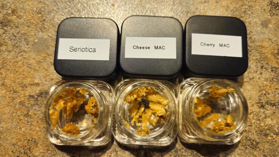 🔴 Seriotica - "Zen in Progress". Week 15