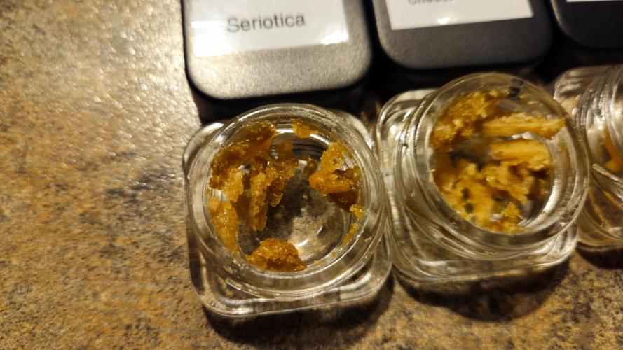 🔴 Seriotica - "Zen in Progress". Week 15