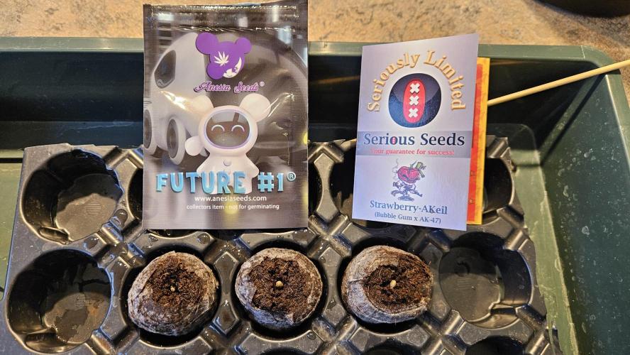 🚀 Future 1 – Advanced Indoor Grow. Week 0