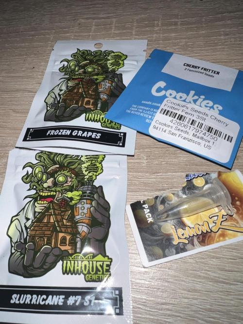 Terpfest w In-house Genetics & co. Week 0