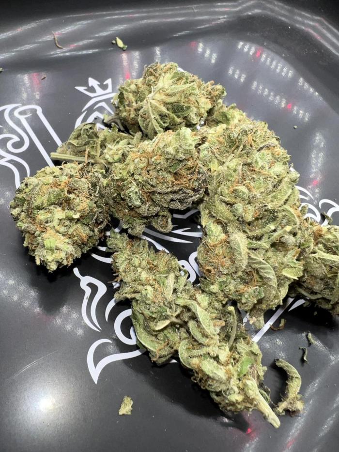 Mixed Grow w Barneys & Dutch Passion. Week 16