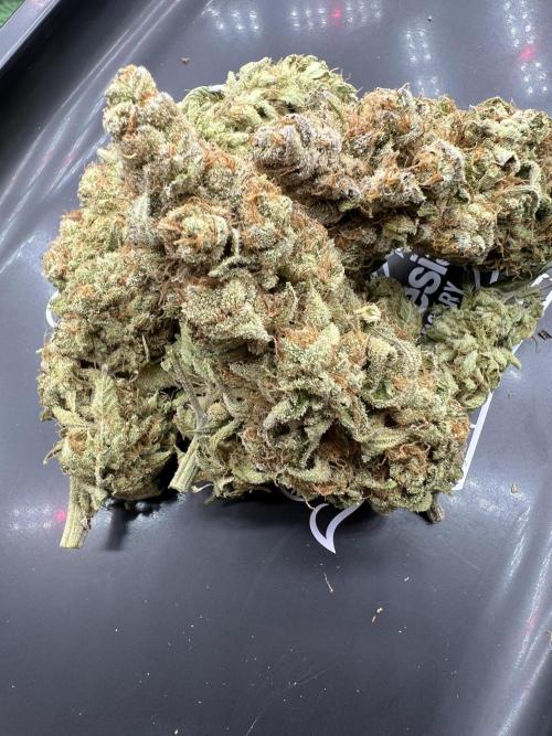 Mixed Grow w Barneys & Dutch Passion. Week 16