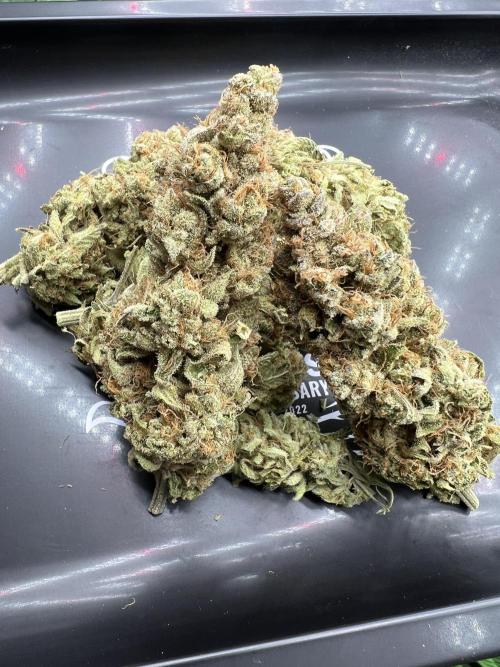 Mixed Grow w Barneys & Dutch Passion. Week 16