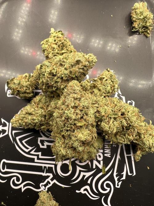 Mixed Grow w Barneys & Dutch Passion. Week 16