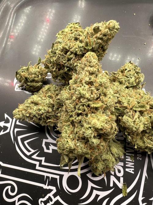 Mixed Grow w Barneys & Dutch Passion. Week 16