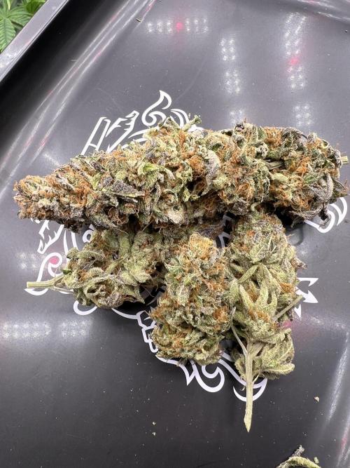 Mixed Grow w Barneys & Dutch Passion. Week 16