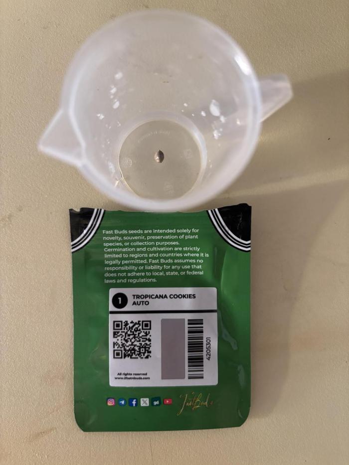 Tropicana Cookies Auto. Week 0