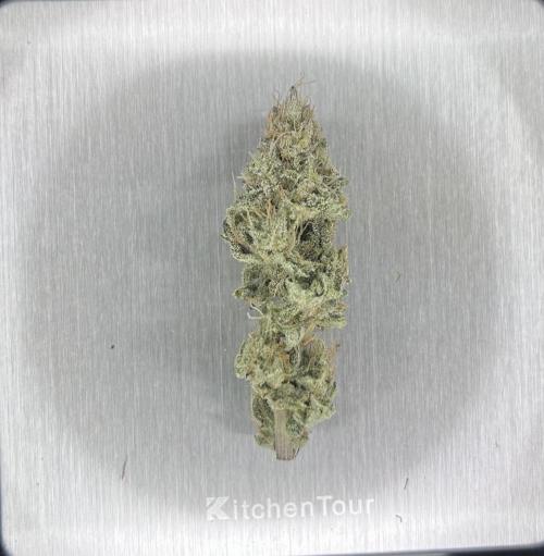 Platinum Line - Papaya Stank 🌪️. Week 13