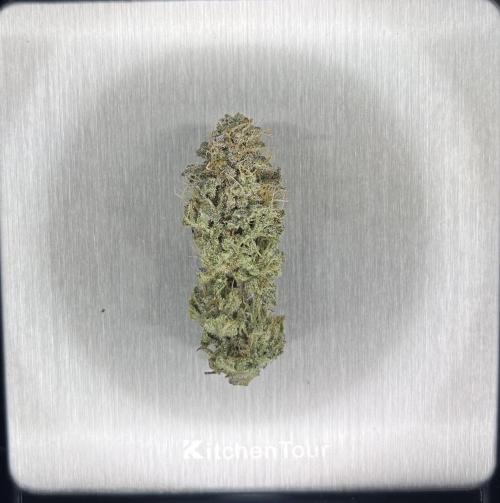 Platinum Line - Papaya Stank 🌪️. Week 13