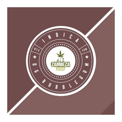 OG Bubblegum. Week 2