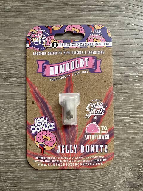 Jelly Donutz. Week 0