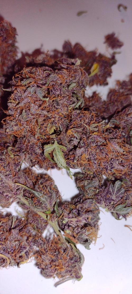 Banana purple punch. Week 10