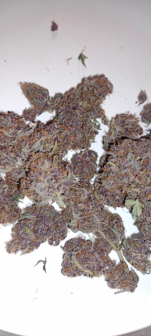 Banana purple punch. Week 10