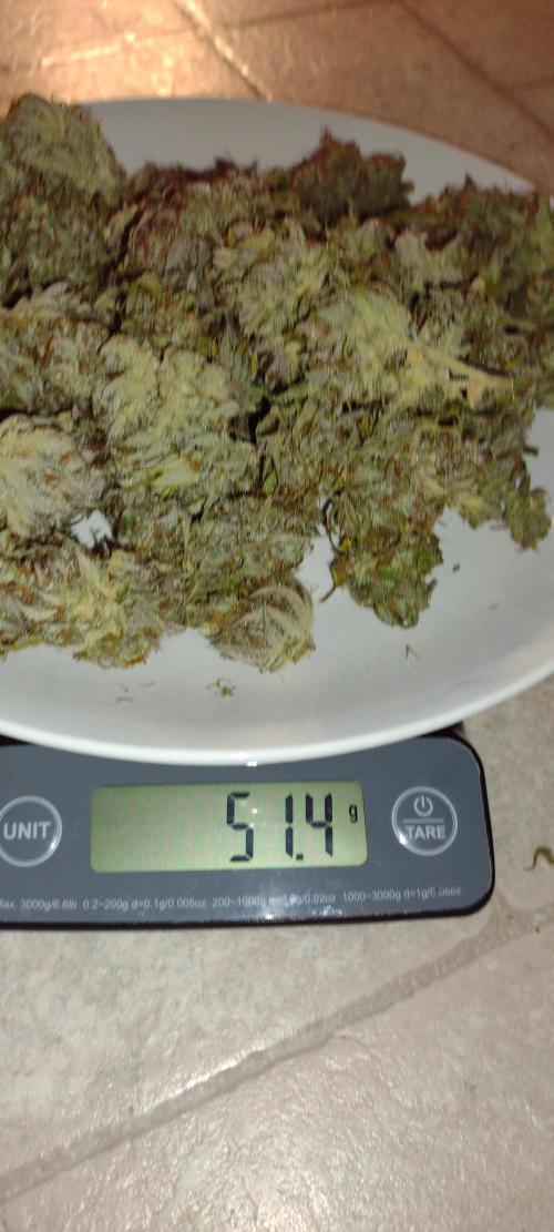 Banana purple punch. Week 10