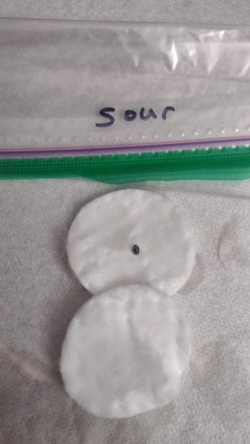 Sour jealousy. Week 0