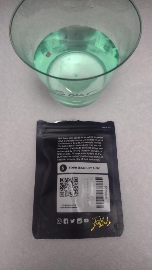 Sour jealousy. Week 0