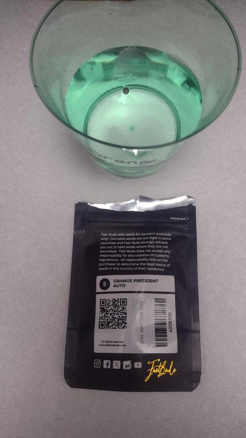 Orange President. Week 0