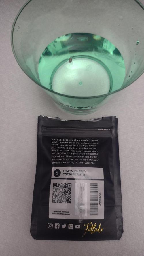 Lemon cherry cookies. Week 0