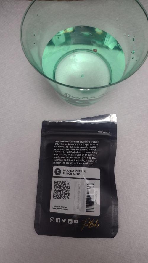 Banana purple punch. Week 0