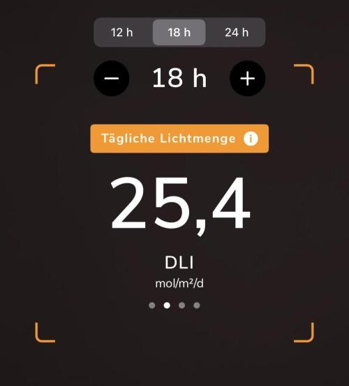 Purple Lemonade Auto. Week 1