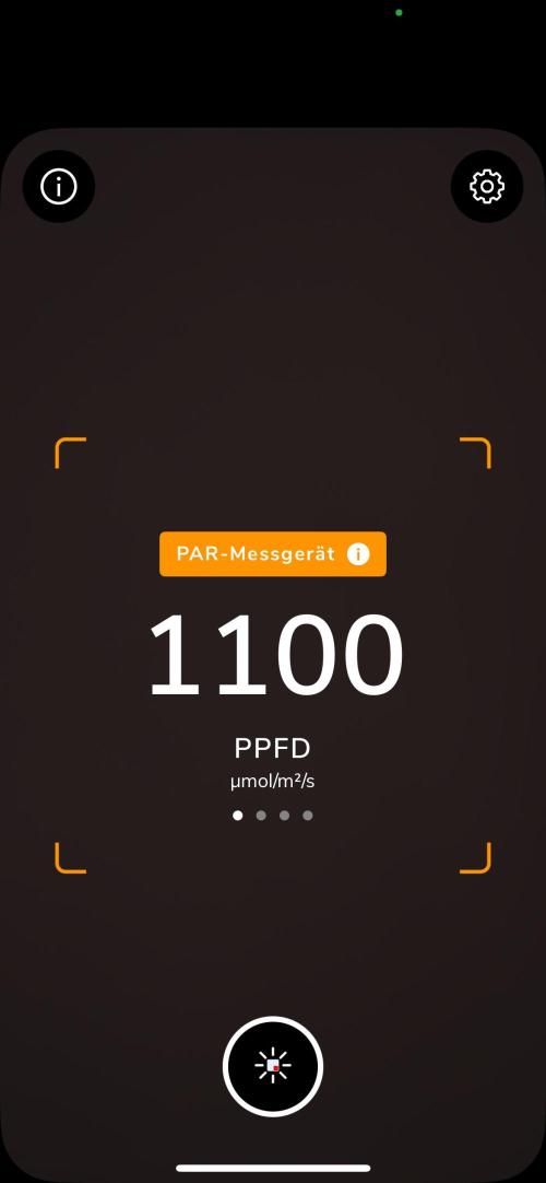 Purple Lemonade Auto. Week 5