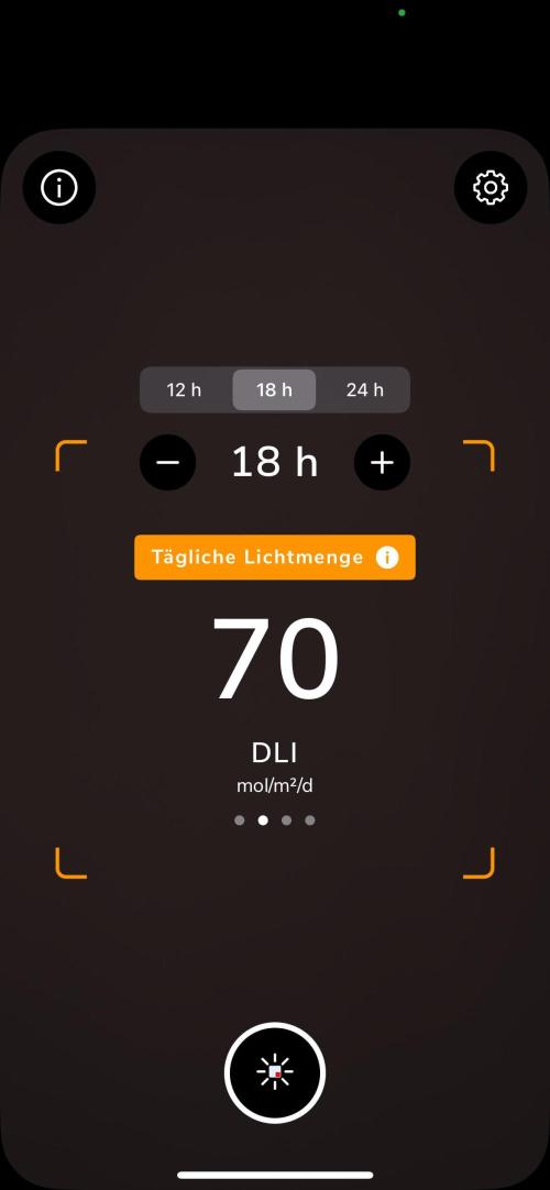 Purple Lemonade Auto. Week 5