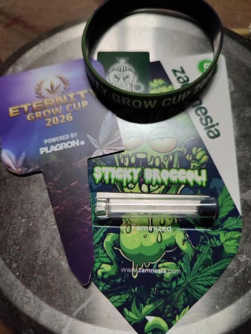 Sticky Broccoli 🥦 - EGC 2026. Week 0