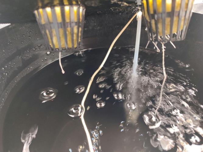 Sticky Broccoli 🥦 - EGC 2026. Week 1