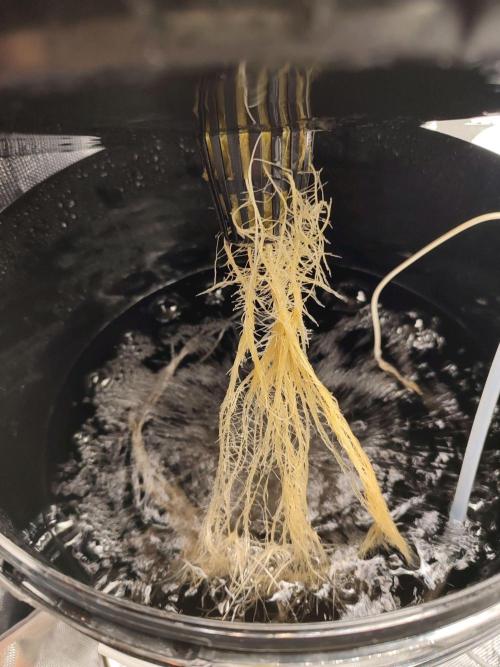 Sticky Broccoli 🥦 - EGC 2026. Week 3