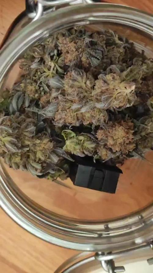 Humboldt Sour Diesel