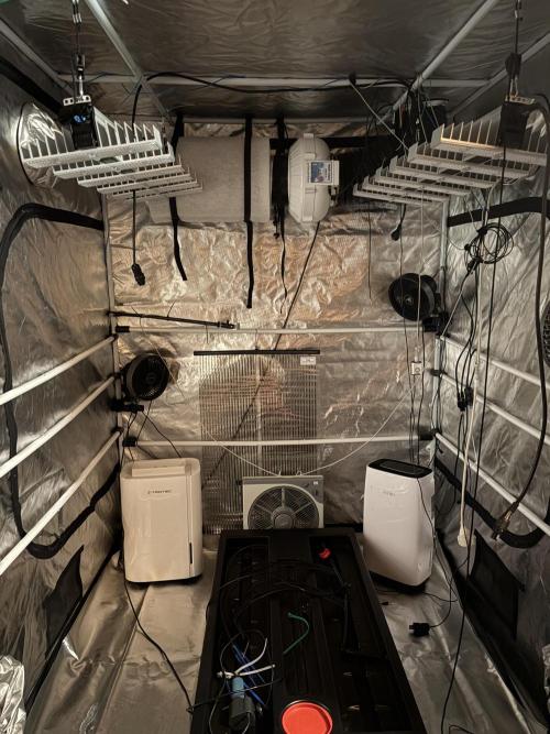 Green420_germany‘s growdiaries. Week 2 - Setup endlich mit einer zweiten Sanlight Evo 6-120