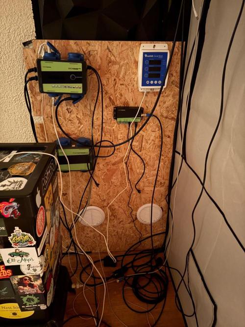 Grow Room 1. Week 2 - Die Wand ist noch im Aufbau .. bin aber noch nicht ganz sicher ob das so bleibt 