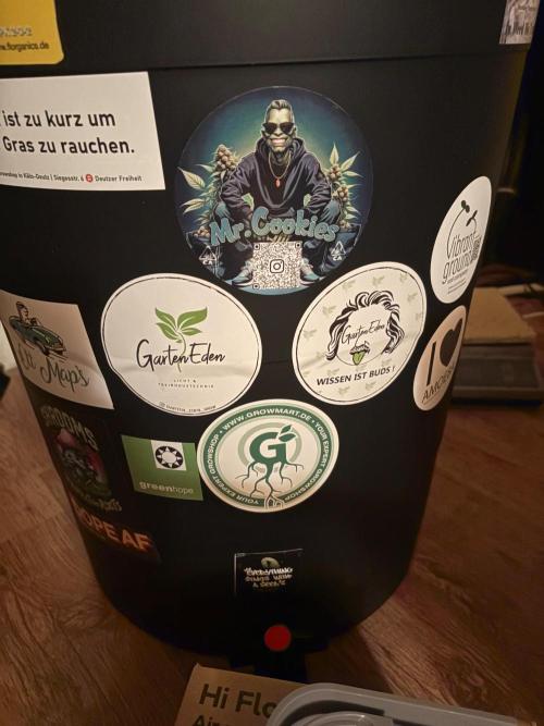Grow Room 1. Week 3 - Auslaufhahn ran gemacht und Undichtigkeiten festgestellt,direkt weg und neue her