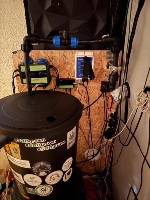 Grow Room 1. Week 3 - Bis auf die Undichtigkeiten so weit gut aber nicht perfekt 