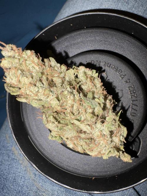 Winter semi full term run. Week 14