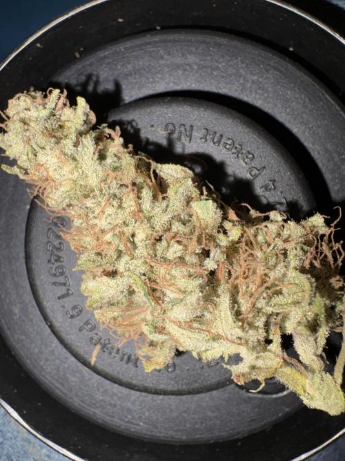 Winter semi full term run. Week 14