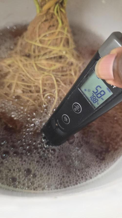 PAPAYA SHERBET. Week 8 - Brought ph down to an acceptable range 