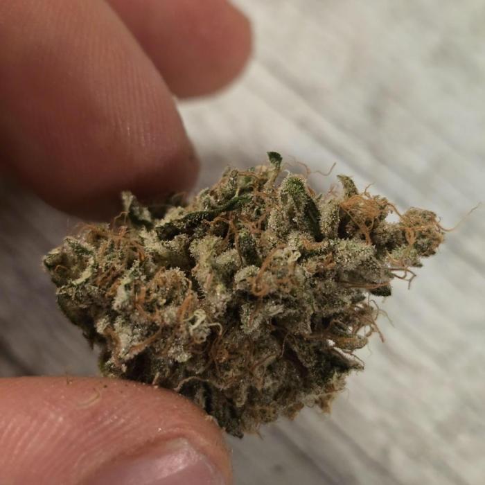 150w Led, 5 Strains. Week 9