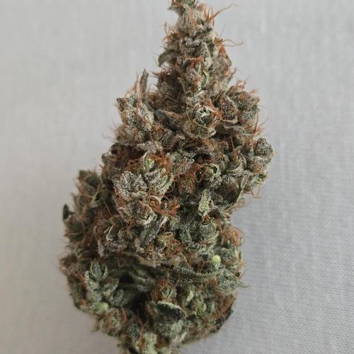 150w Led, 5 Strains. Week 9