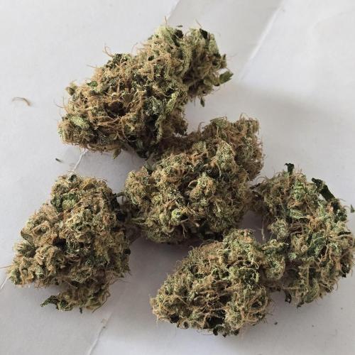 150w Led, 5 Strains. Week 10