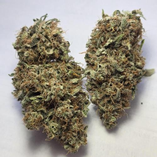 150w Led, 5 Strains. Week 9