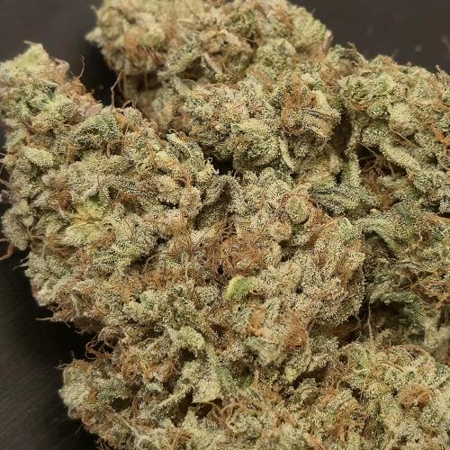 150w Led, 5 Strains. Week 9