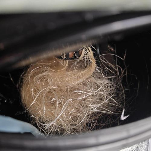 Dwc test run Northern Lights. Week 3