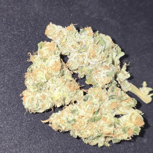 Gmo Cookies and White Widow Dwc. Week 10