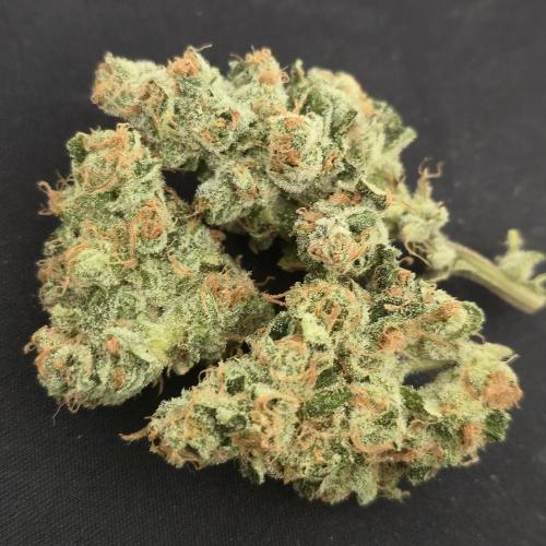 Gmo Cookies and White Widow Dwc. Week 10