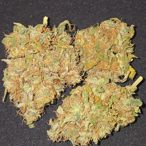 Wedding Cake, Lemon Skunk, Big Bud. Week 7