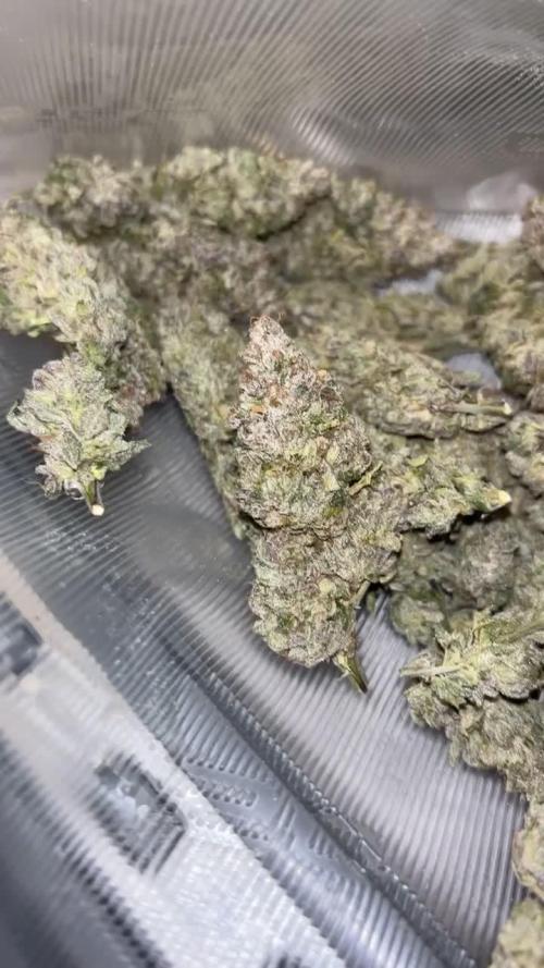 Caramel Cream by HSC